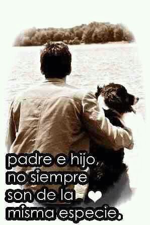 Sin Nombre