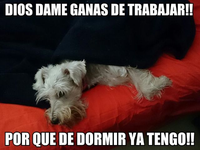 Después de un 'Puente'....
