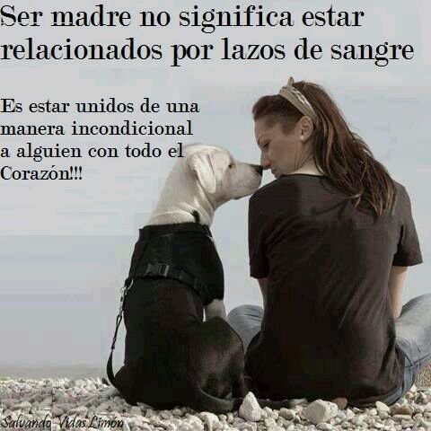 Sin Nombre