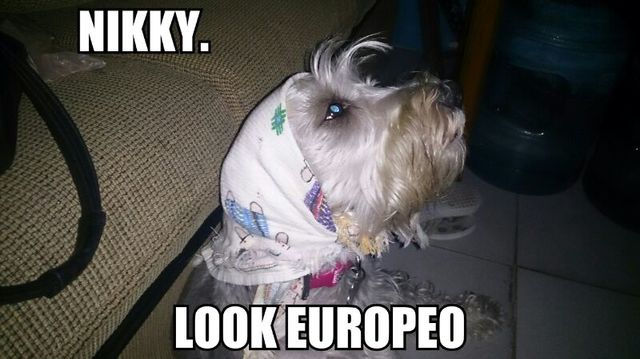 Verano