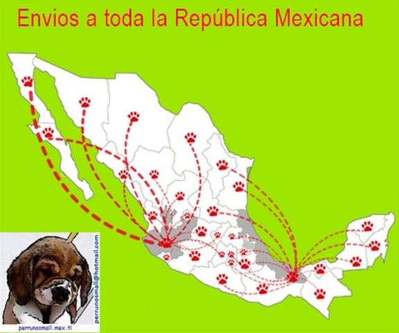 Interior de la República Mexicana