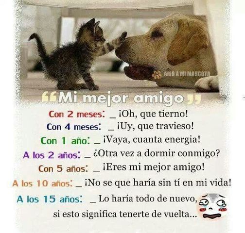Sin Nombre